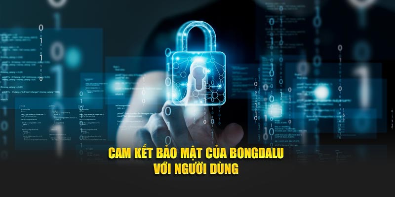 Cam kết bảo mật của Bongdalu với người dùng