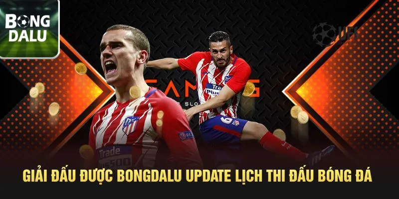 Giải đấu được Bongdalu update lịch thi đấu bóng đá