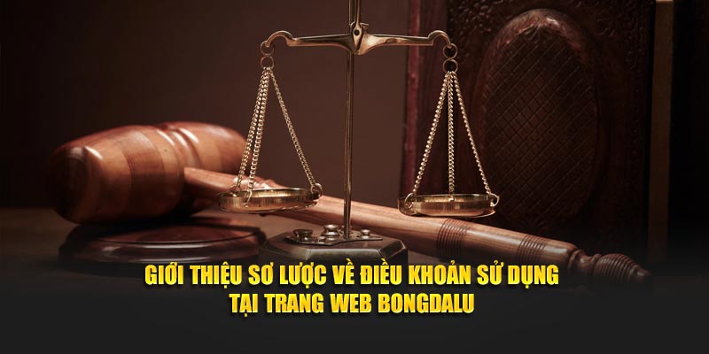 Giới thiệu sơ lược về chính sách, yêu cầu quan trọng tại trang web