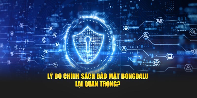 Lý do chính sách bảo mật Bongdalu lại quan trọng?