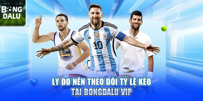 Lý do nên theo dõi tỷ lệ kèo tại Bongdalu VIP